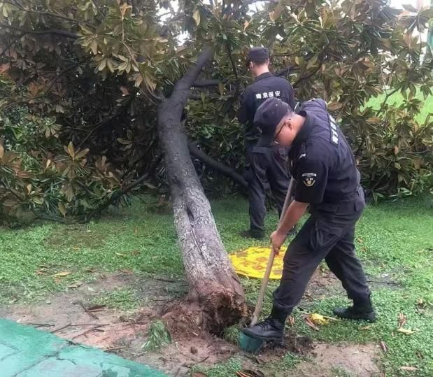 C:/Users/BA/Desktop/風雨過后南京保安迅速行動，恢復安“寧”面貌/10.jpg10