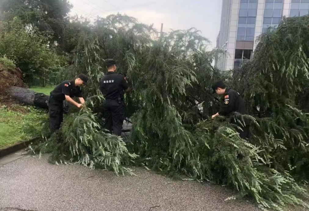 C:/Users/BA/Desktop/風雨過后南京保安迅速行動，恢復安“寧”面貌/1.jpg1